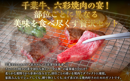 井村牧場の千葉牛厳選焼肉 “全6種” 贅沢セット 計1kg（千葉牛の上カルビ・並カルビ・上赤身・並赤身、希少部位） 【 ふるさと納税 人気 おすすめ ランキング 牛肉 牛 千葉牛 和牛 上カルビ 上赤身 並赤身 希少部位 霜降り 焼肉 ギフト 千葉県 富里市 送料無料 】 TMAD003