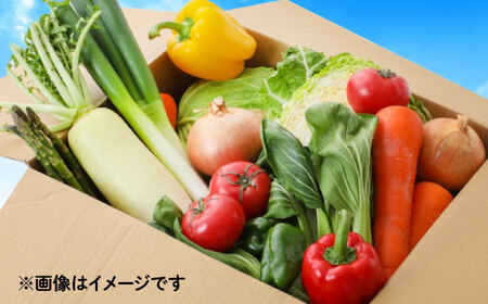 【6回定期便】野菜のプロが選ぶ 旬の野菜セット 12-13品目 野菜定期便 / 野菜 やさい セット 新鮮 / 南島原市 / 愛2農園[SGG003]