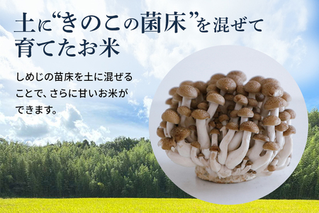 【毎月定期便】心と身体が踊りだす栽培期間中出来るだけ農薬を減らして作る「かすみ米」白米 5kg 全6回 お米 米 国産米 茨城県 潮来市 (A03-047)