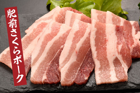 佐賀焼肉セット(牛・鳥・豚) 750g(H123112)