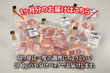 【3カ月定期便】ありたどり もも肉 1.8kg×3回 計5.4kg(H123114)