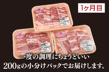 【3カ月定期便】肥前さくらポーク 焼肉・しゃぶしゃぶ・ブロック 計1.95kg(H123116)