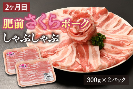 【3カ月定期便】ありたどり・肥前さくらポーク 計5.5kg(H123119)