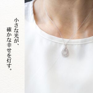 ダイヤ ネックレス pt900 ダイヤモンドネックレス 0.37ct （RP-MN-776）鑑別書 保証書 ケース 付 ジュエリー アクセサリー ペンダント 宝石 プラチナ ギフト プレゼント 贈り物 記念日 お祝い 誕生日 人気 高級 山梨県 西桂町【n0610_liz_A】