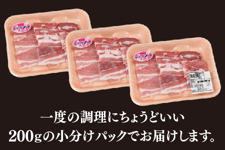 肥前さくらポーク 焼肉用 豚バラ 600g(H123109)