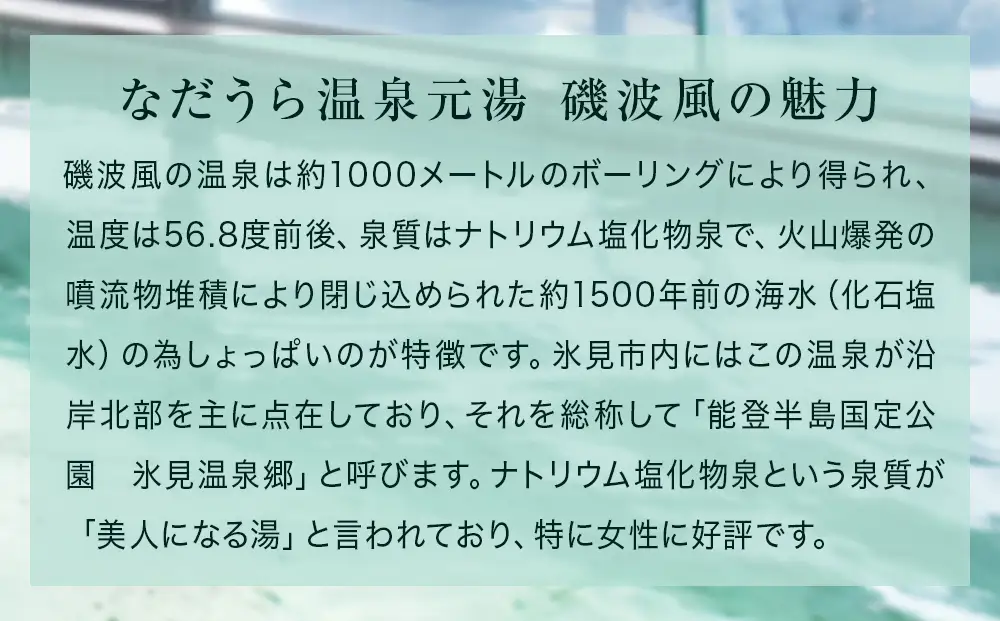 磯波風の湯 5袋 入浴剤 温泉 再現 日用品 バス用品 温活 富山県 氷見市