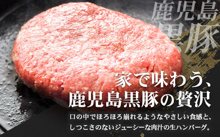 鹿児島県産 黒豚生ハンバーグセット（8個入）冷凍 NS-12 ❘ 肉 お肉 豚肉 豚 にく ぶた かごしま黒豚 焼くだけ おかず お弁当 ジューシー 小分け ギフト おかず お弁当 国産 鹿児島県 南大隅町 南州農場