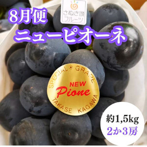 【2026年度先行予約】【定期便3回】夏の美味しい果物