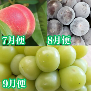 【定期便全7回】美味しい果物定期便　