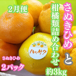 【定期便全３回】冬の美味しい果物