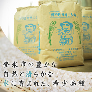 ≪令和7年産≫ 登米市産 ササニシキ 5kg (5kg×1袋) お米 おこめ 米 コメ 白米 ご飯 ごはん おにぎり お弁当【有限会社PFTサービス】tm477
