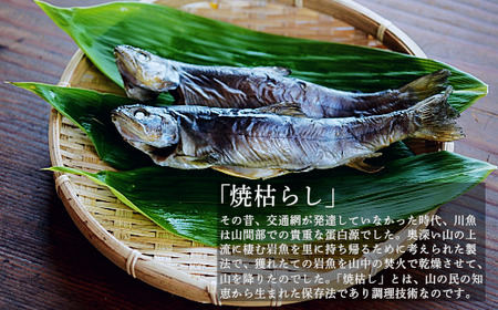 「岩魚の焼枯し（イワナノヤキガラシ）8尾入り」 黒姫山最上流の清流に生息するイワナを≪一尾ずつ串打ち → 焼き上げ→ 乾燥 ≫ 二日間、全工程を手仕込みで丁寧に仕上げています。黒姫山麓の養鱒場（ヨウソン）を営む親子三代受け継ぐ伝統の製法をぜひご賞味ください。【信州 信濃町 ふるさと納税／黒姫ガーデン】