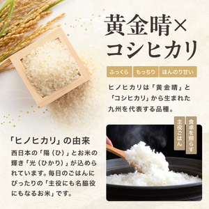 お米 ヒノヒカリ 精米 5kg | 米 おこめ こめ ひのひかり 白米 5キロ 国産米 おいしいお米 大分県産 九州産 中津市