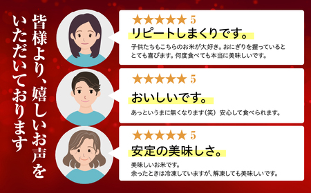 米 令和7年産 白銀の穂 10kg 白米