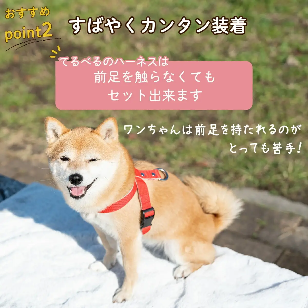 ハーネス 抜けにくい 嫌がらない 簡単装着 着脱らくらく 調整可能 34?100g | 犬用 胴輪 お散歩 安心設計 抜けない 脱げない 外れない ワンタッチ 簡単装着 ペットグッズ ペット用品 おしゃれ 可愛い プレゼント 贈り物 てるべる 埼玉県 越谷市