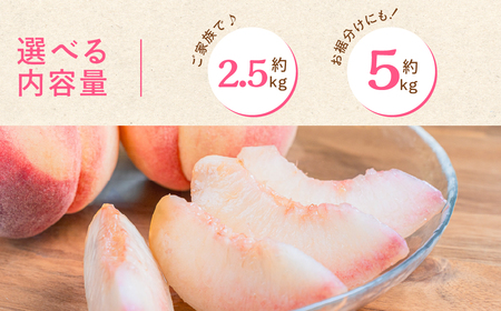 石巻産桃 2.5kg 豊橋 先行予約 もも