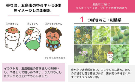 【6回定期便】リップクリーム3本セット 五島市/合資会社椿乃[PAM055]