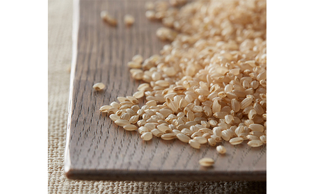  【令和7年度産】加賀百万石特別栽培米コシヒカリ玄米5kg 