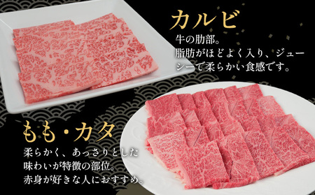 飛騨牛 BBQセット（カルビ・モモカタ） 計800g A5 A4 国産 牛 黒毛和牛 和牛 牛肉 カルビ もも モモ カタ 肩 かた 豪華 ギフト 贈答 肉のひぐち