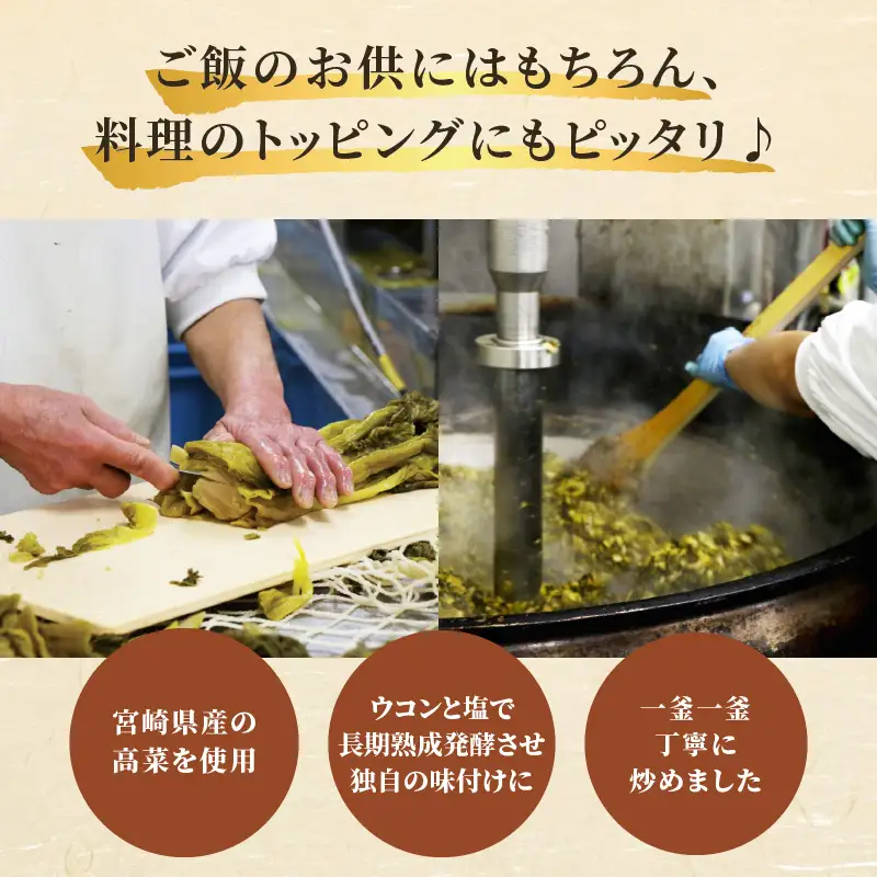 ＼ポスト投函／高菜油炒め(計3袋) つけもの おかず 野菜 加工品 国産_T037-0155