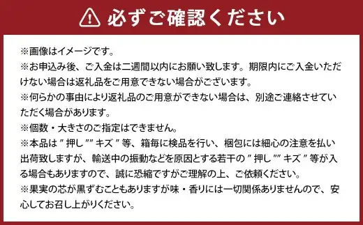 鴨梨（ヤーリー） 2玉 合計約1.5kg 贈答箱 なし 梨 ナシ 果物 フルーツ 果実 岡山県 倉敷市【2026年11月下旬～12月下旬迄順次発送予定】