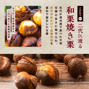 【先行予約】天使の甘栗 和栗焼き栗900g | 栗 甘栗 国産和栗 自然の甘み 無添加おやつ 焼き栗900g やさしい甘さ 大分県 中津市