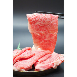 近江牛 すき焼き・しゃぶしゃぶ用 【霜降り・赤身盛り合わせ】500ｇ
