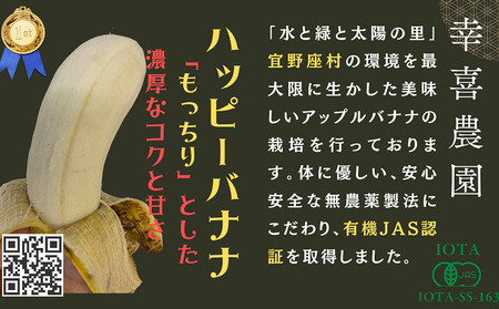 バナナ【2026年発送】宜野座村産 有機JAS認証のアップルバナナ 約2kg 