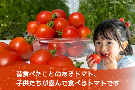 訳あり 野菜 トマト 冷凍志宝トマト（シンディスイート）中玉 1kg [モアショップヤマモト 石川県 宝達志水町 38601219]
