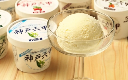 【安定剤・着色料不使用】 共進牧場 牧場アイスクリーム 10個 神戸六甲 アイスギフトセット ／ 人気 こだわり プレミアム 贅沢 濃厚 コク 酪農家 生乳 バニラ いちご チョコ 抹茶 マロン 牧場 夏 おやつ 菓子 お取り寄せ お菓子 洋菓子 ギフト お中元 贈答 贈り物 プレゼント お返し 夏ギフト 誕生日 兵庫県