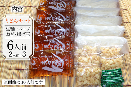 うどん 生麺 天領うどん つゆ ねぎ 揚げ玉 付き 6人前 セット [天領うどん本店 宮崎県 日向市 452061557]