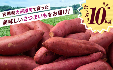 さつまいも 約10kg 2種詰合せ 紅はるか ふくむらさき サツマイモ 宮城県産 甘い 秋 冬 スイーツ 産地直送 宮城県 大河原町