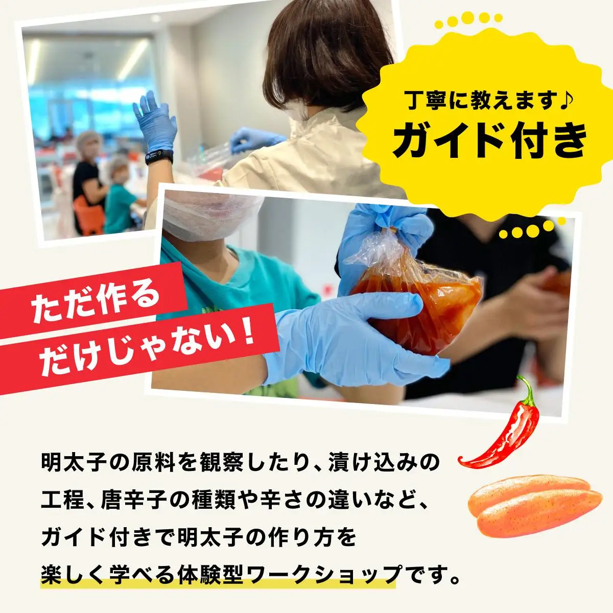 やまやのオリジナル明太子漬け込み体験 AZ095
