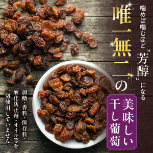 Ｃ北海道完全無添加干し葡萄と札幌産セレクトワイン1本のマリアージュセット