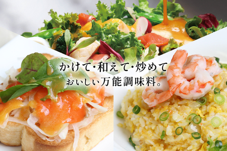 リッチ スタイル ドレッシング にんじん 3本 セット [セゾンファクトリー 山形県 高畠町 tk06ays740013]