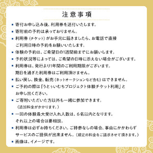 【ふるさと納税】☆沖縄芸能琉球舞踊体験☆～沖縄貸衣装体験付き～　| 沖縄 旅行 クーポン 体験 トラベル 人気 おすすめ リゾート チケット 北谷 ちゃたん おすすめ 送料無料