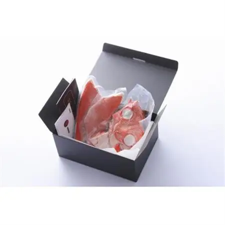 極冷　地金目1尾分(切り身:約1kgの金目使用)生シラス(100g×2p)セット【配送不可地域：離島】【1044034】