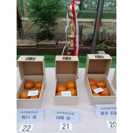 柿の中の柿、最も古くから愛されている美味しい富有柿　約3.5kg(10～14個)【1473340】