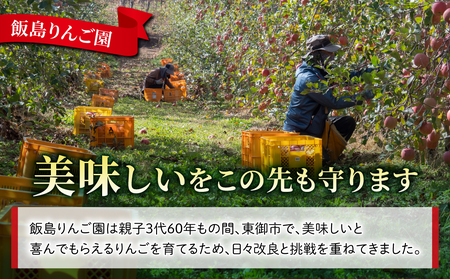 果汁100％りんごジュース（ふじ又はシナノドルチェ）３本【飯島りんご園】