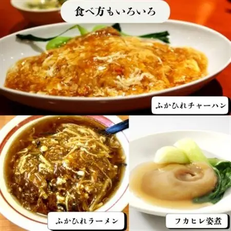 【宮城県気仙沼産】フカヒレ姿煮　400g【配送不可地域：離島】【1641836】