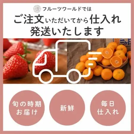 【2027年先行受付】静岡県磐田市 いちご 紅ほっぺ 約260g×2パック【配送不可地域：離島・北海道・沖縄県】【1640742】