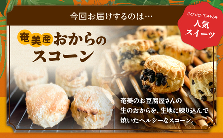 【 奄美 の 保護猫 支援 （ 保護猫フード 10日分 ）】＋ おからスコーン （ チョコチップ ） 5個 入り A071-004-02 菓子 スイーツ スコーン 保護猫支援 保護猫プロェクト cafeCOVOTANA ふるさと納税 鹿児島 奄美市 おすすめ ランキング プレゼント ギフト
