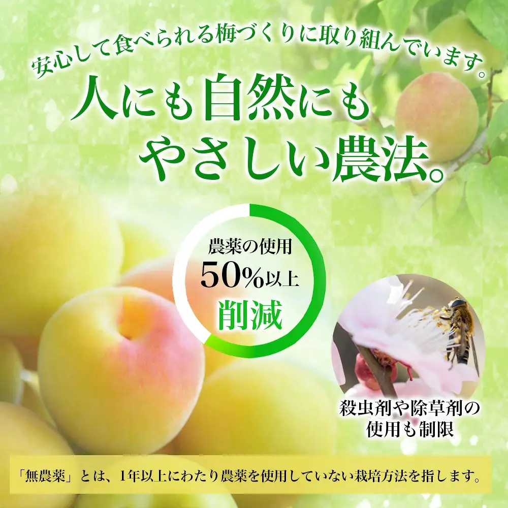 梅干し 紀州梅香の減塩3%つぶれ梅 500g x 2 訳あり 無添加梅干し【baiko005】