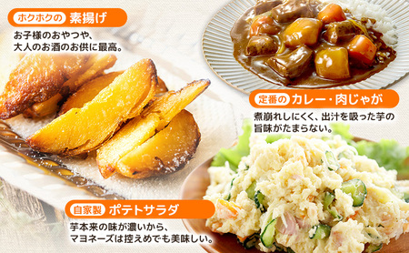 先行予約/2026年秋発送 北海道 十勝 幕別産 じゃがいも インカのめざめ 約5kg【横山農園】  野菜 根菜 フライドポテト ポテトチップス 変色しにくい 煮崩れしにくい 黄金色 北海道のジャガイモ 