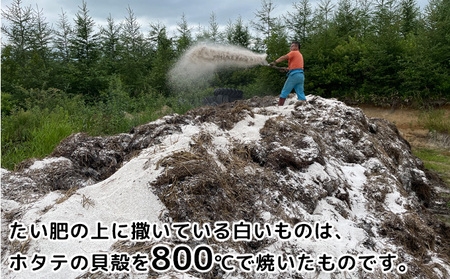 先行予約/2026年秋発送 北海道 十勝 幕別産 じゃがいも メークイン 約5kg 【横山農園】 野菜 根菜 食材 しっとり 崩れにくい 煮込み料理 炒め物 肉じゃが カレー シチュー 北海道のジャガイモ