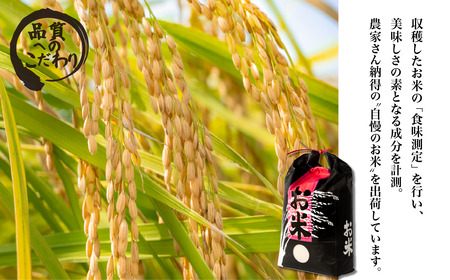 精米 5kg 令和7年産 コシヒカリ 茨城県 下妻市産