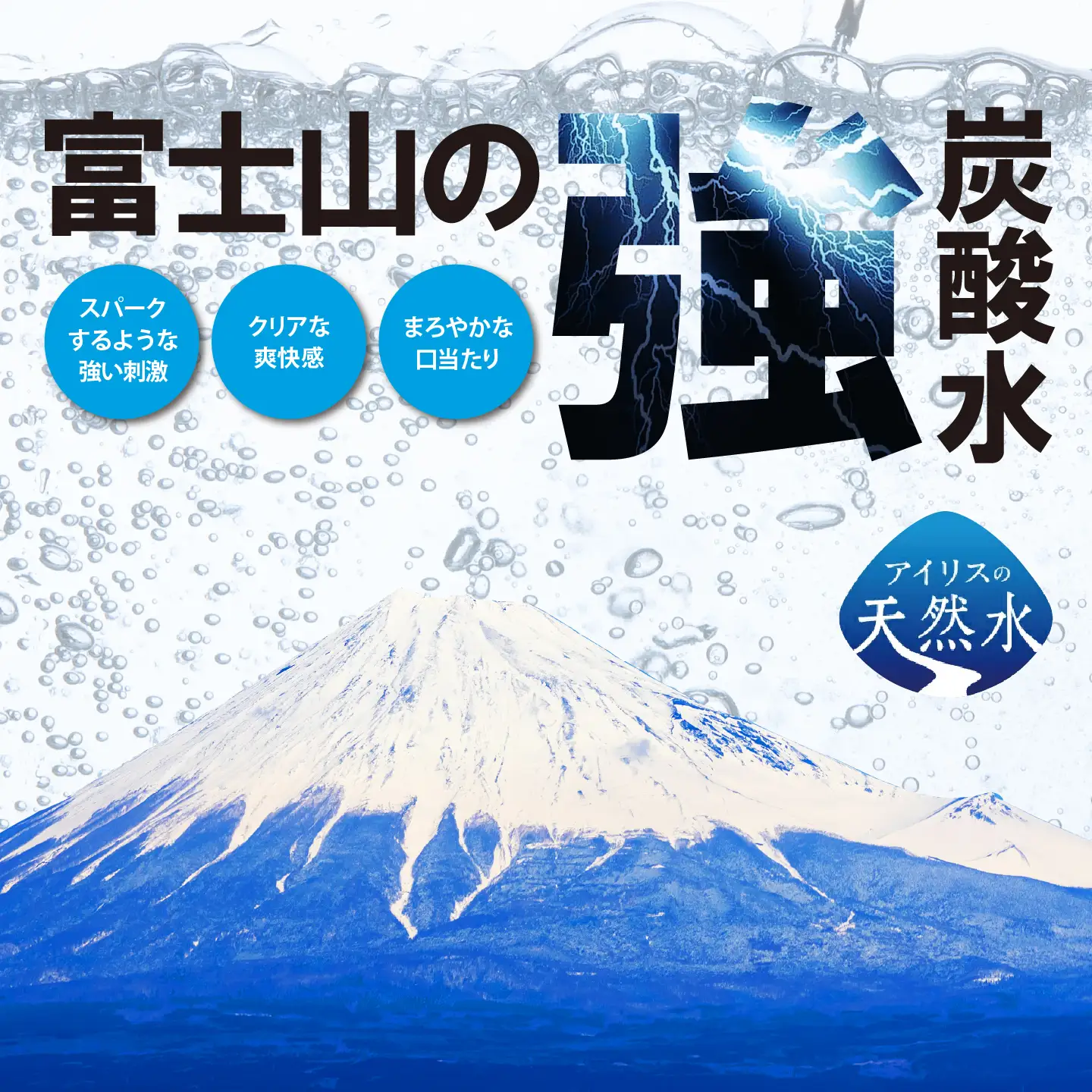 強炭酸水 レモン 3ヶ月定期便 500ml×1箱 24本入 炭酸