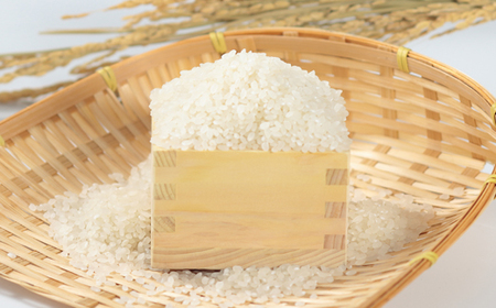 【令和7年産】特別栽培米サキホコレ5kg(白米)【配送不可地域：離島・沖縄県】【1670576】