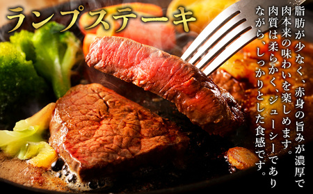 宮崎県産 黒牛 ステーキ 赤身 牛肉 ステーキ用 130g × 3枚 ランプ 130g 390g 肉 牛 国産牛 小分け 真空パック 冷凍 贈答 ギフト人気 国産 えびの市 送料無料