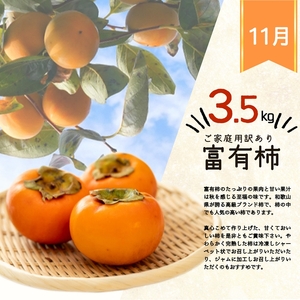 〈定期便〉【10・11・12月 全3回】紀州和歌山産旬のご家庭用果物セット(ひらたね・富有柿・みかん)